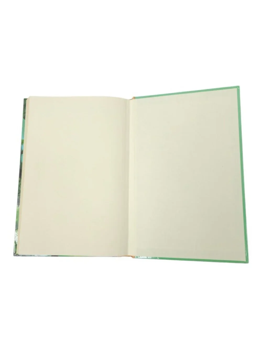 Treasury of Illustrated Classics The Jungle Book Hardcover Rudyard Kipling Kids